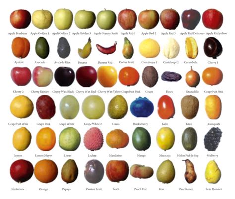 fruit recognition dataset